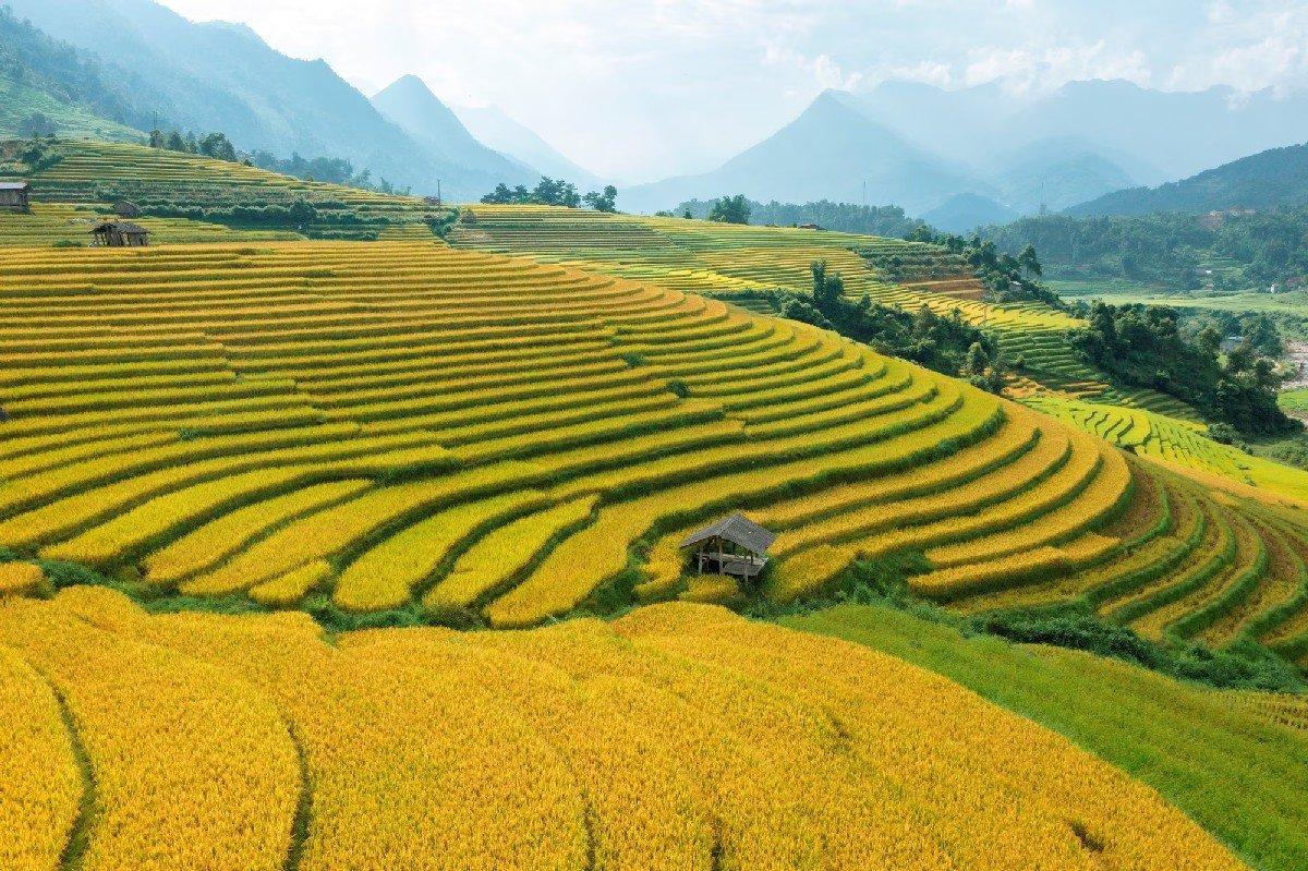 Cycling in Sapa Vietnam: The Ultimate Guide to Pedaling Through the Clouds